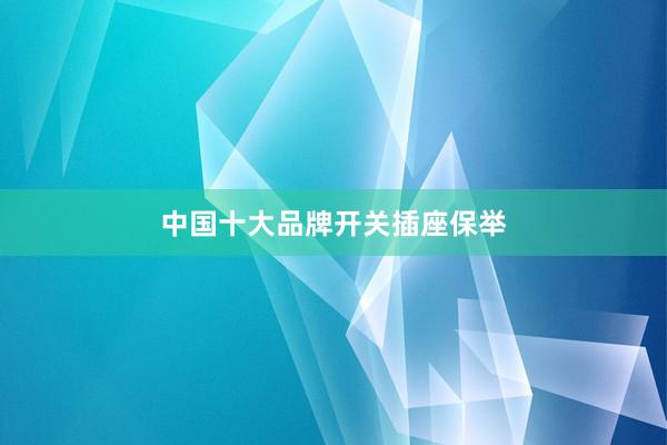 中国十大品牌开关插座保举