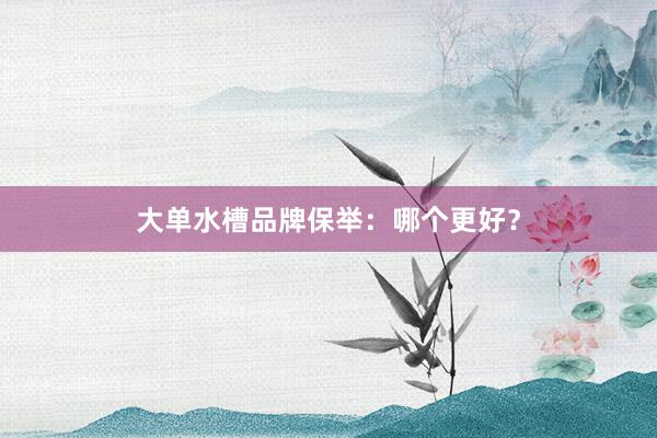 大单水槽品牌保举：哪个更好？