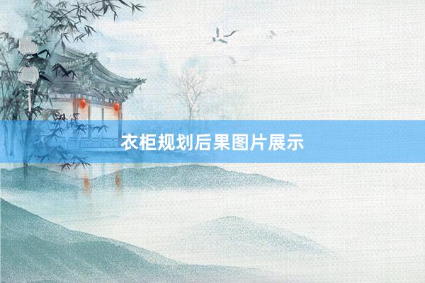 衣柜规划后果图片展示