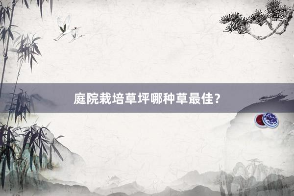 庭院栽培草坪哪种草最佳？