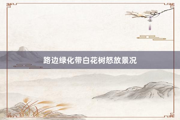 路边绿化带白花树怒放景况