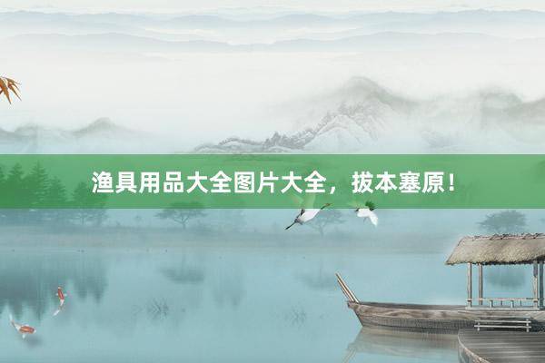 渔具用品大全图片大全，拔本塞原！
